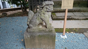 金王八幡宮 御嶽神社狛犬 (2)