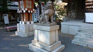 東郷神社 狛犬 (1)