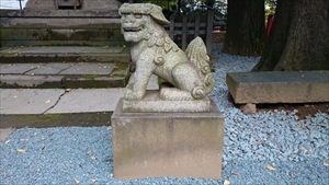 金王八幡宮 御嶽神社狛犬 (1)