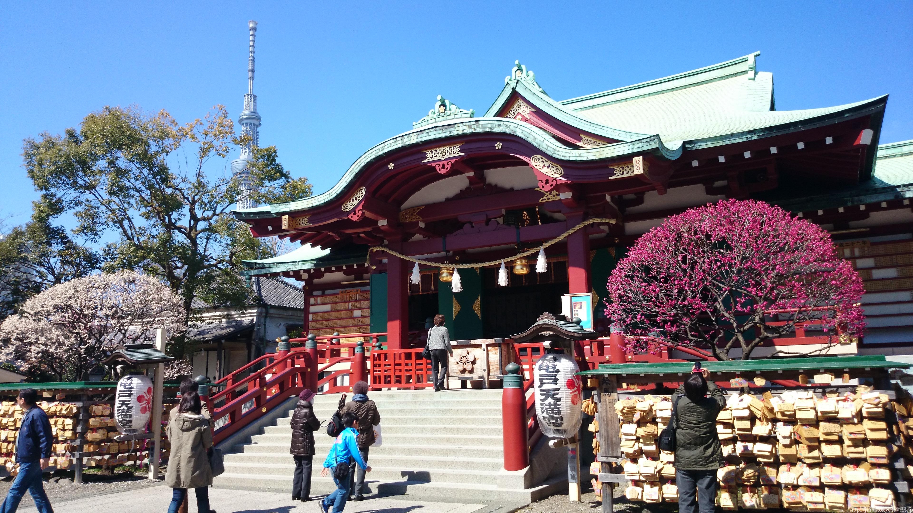 亀戸天神社 神社と御朱印