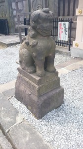 高輪神社 狛犬 (1)
