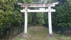井草八幡宮 浅間神社 (1)