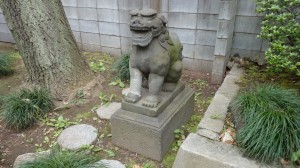 須賀神社 狛犬
