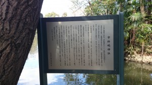 善福寺公園内市杵嶋神社 (1)