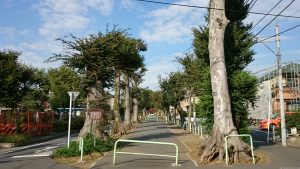 赤塚氷川神社 参道