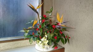 五柱稲荷神社 社務所玄関の生花