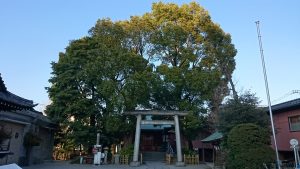 小村井香取神社 二の鳥居と社叢