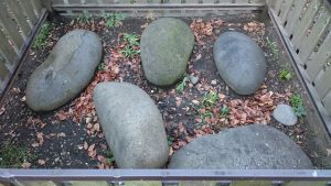 萩中神社 力石