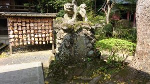 筑波山神社 拝殿前狛犬 阿